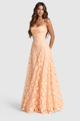 Apricot