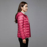 Hooded Pink